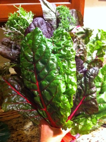 greens (swiss chard)